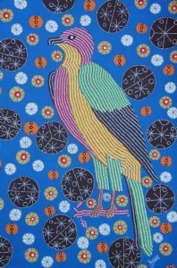 "African Goshawk"