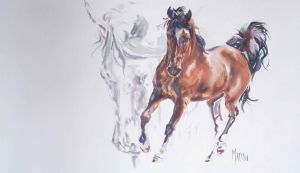 "Horse Movement"