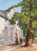 "Summer Oaks, Dorp Street Stellenbosch"