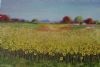 "Young Sunflowers"
