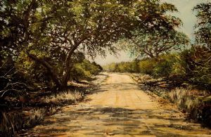 "Road Through the Kruger National Park"