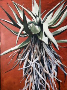 "Magaliesberg Aloe on Sienna"
