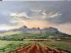 "Vineyards Below the Helderberg"
