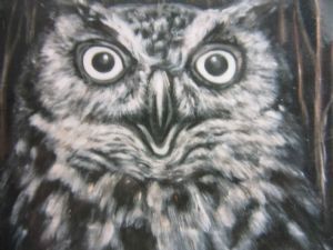 "Owl"