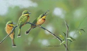 "Little Bee-Eaters"