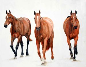 "3 Polo Ponies"