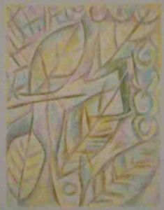 "Combretum Leaves"