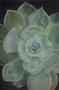 "Succulent "