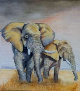 "Elephants"