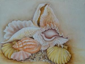 "Shells"