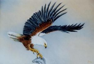 "Fish Eagle"