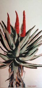 "Tall Aloe 2"