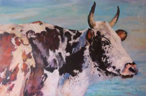 "Nguni Bull"